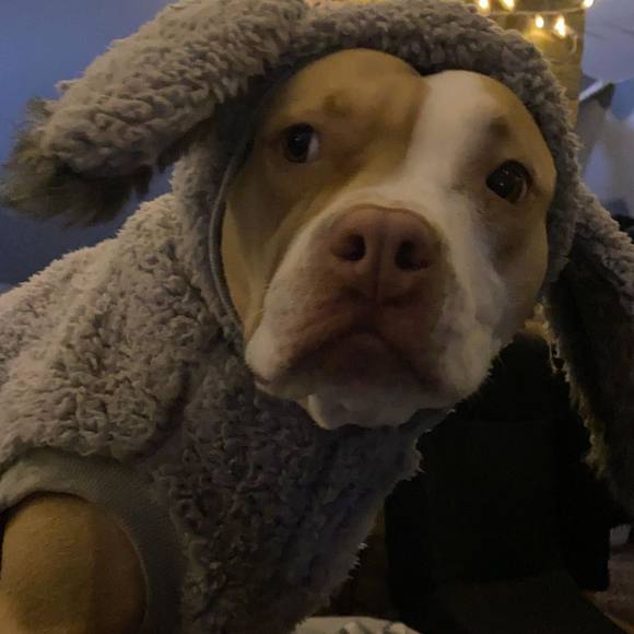 Meet your Posher, Jimmy - Picture 1 of 1